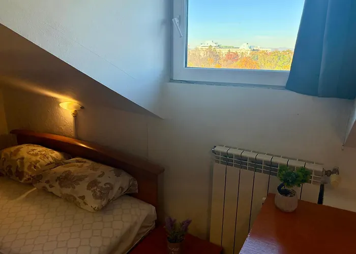 Prime Center - 1bdr - Floor Next To The National Stadium &