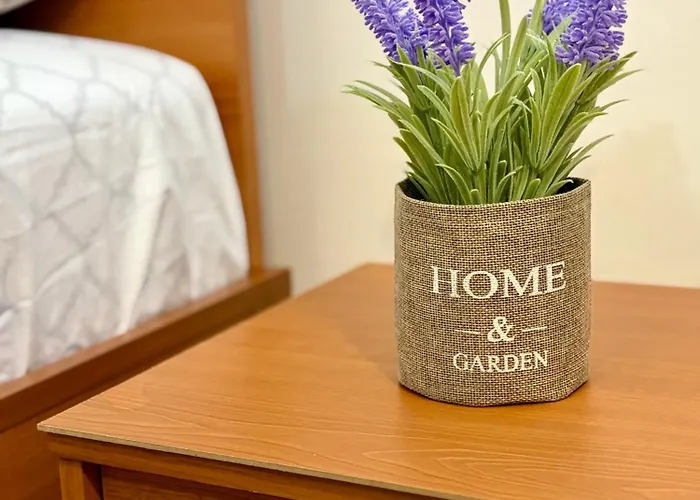 Prime Center - 1bdr - Floor Next To The National Stadium & *