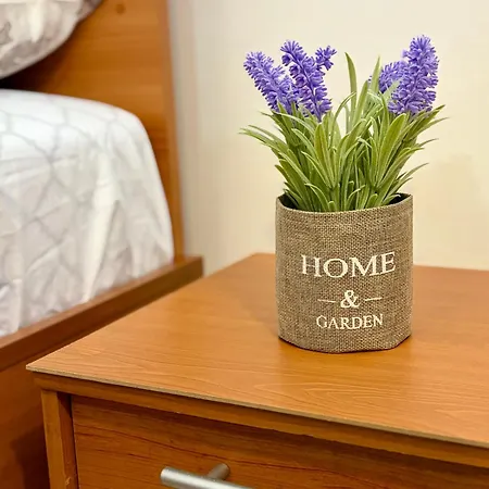 Prime Center - 1bdr - Floor Next To The National Stadium & *